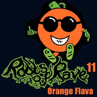 ROOTS OF RAVE 11