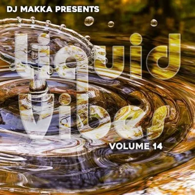 LIQUID VIBES VOL 14