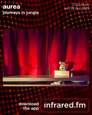 JOURNEYS IN JUNGLE