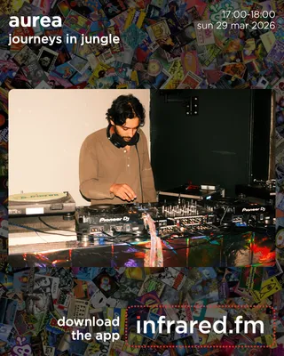 Journeys In Jungle