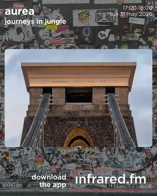Journeys In Jungle