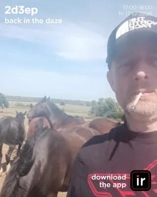 Back In The Daze