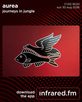 Journeys In Jungle