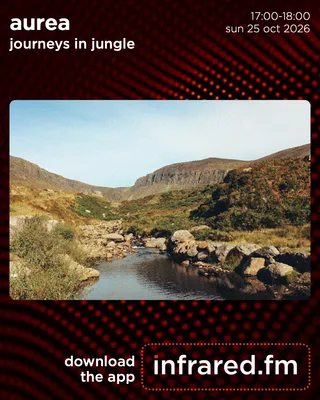 Journeys In Jungle